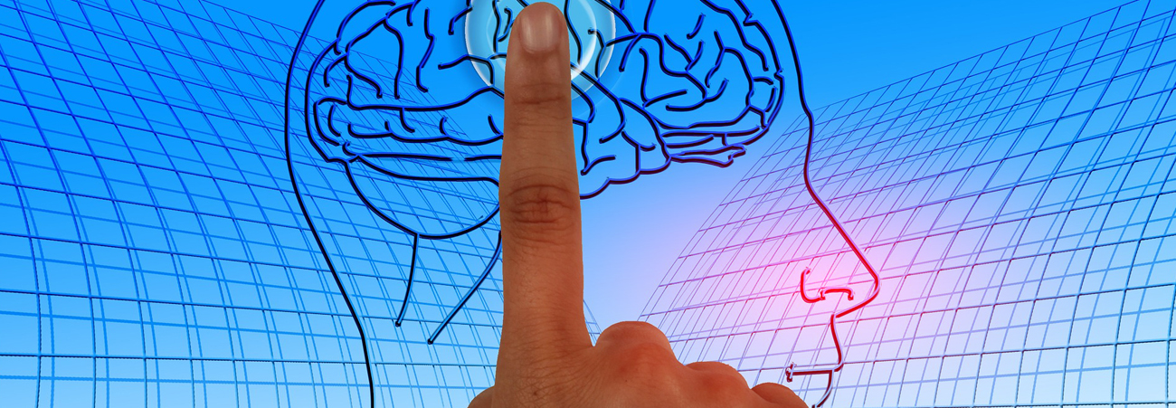 Bildmontage Zeigefinger zeigt aufgemalten Kopf mit Gehirn