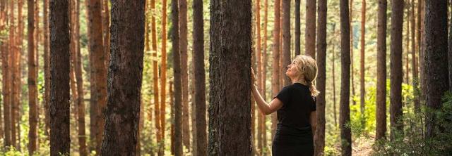 Frau steht in Kiefernwald und berührt Baum