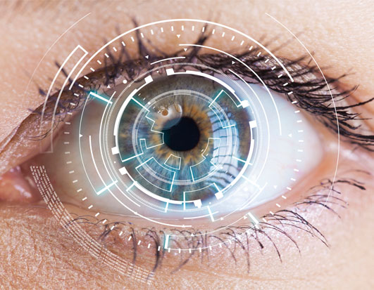 biometrischer Augenscan