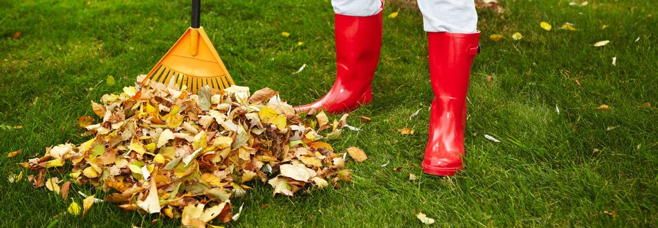 Frau in roten Gummistiefeln harkt Laub im Garten