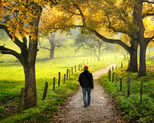 Spaziergänger auf Baumallee in Herbstlandschaft