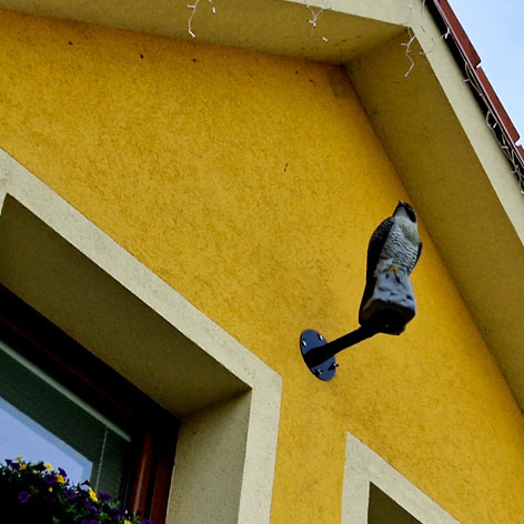 Vogelattrappe an Hauswand