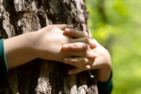 Zwei Arme umschließen einen Baum