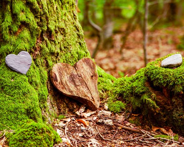 Holzherz lehnt als Zeichen liebevoller Trauer an Bestattungsbaum