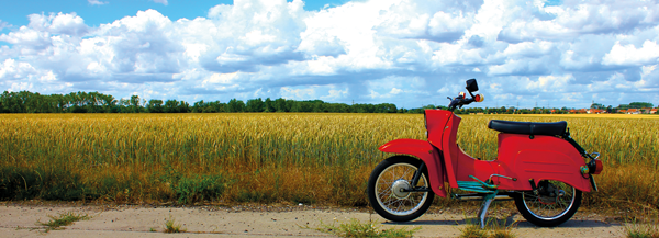 Ein rotes Simson-Moped steht vor einem Raps-Feld.   