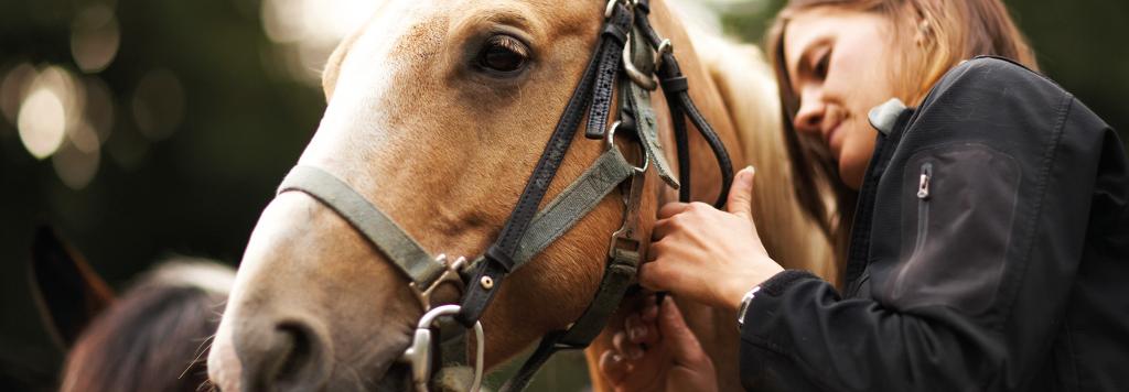 Junge Frau mit Pferd